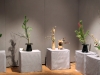 Выставка Икэбана Икэнобо 2015-16